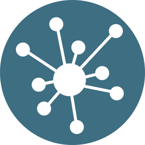 Network Icon