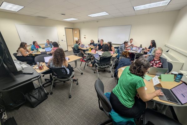 Groups of TA Trainers working together at small tables
